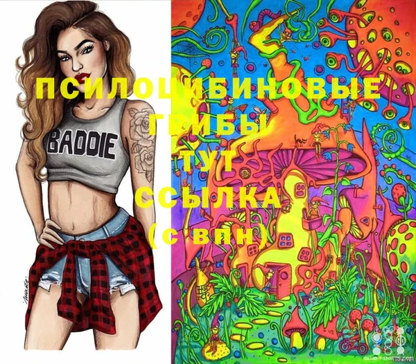 круглые Алзамай