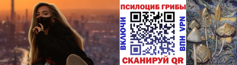 цена наркотик  Евпатория  Псилоцибиновые грибы Psilocybe 